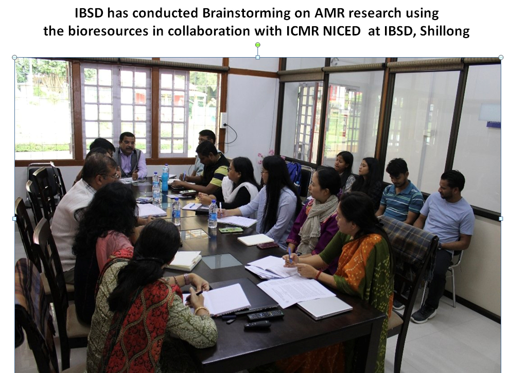 IBSD has conducted Brainstorming on AMR research using  the bioresources in collaboration with ICMR NICED  at IBSD, Shillongphotos
